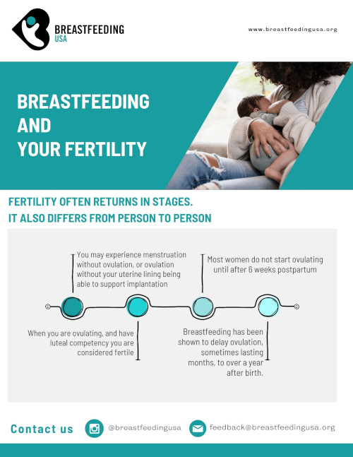 Printable: Breastfeeding and Fertility